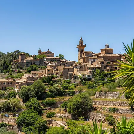 Tramuntana Valldemossa (Mallorca)